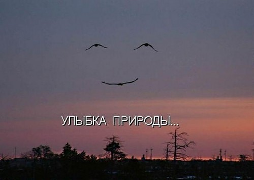 ПЫБ ПРИРОДЫ