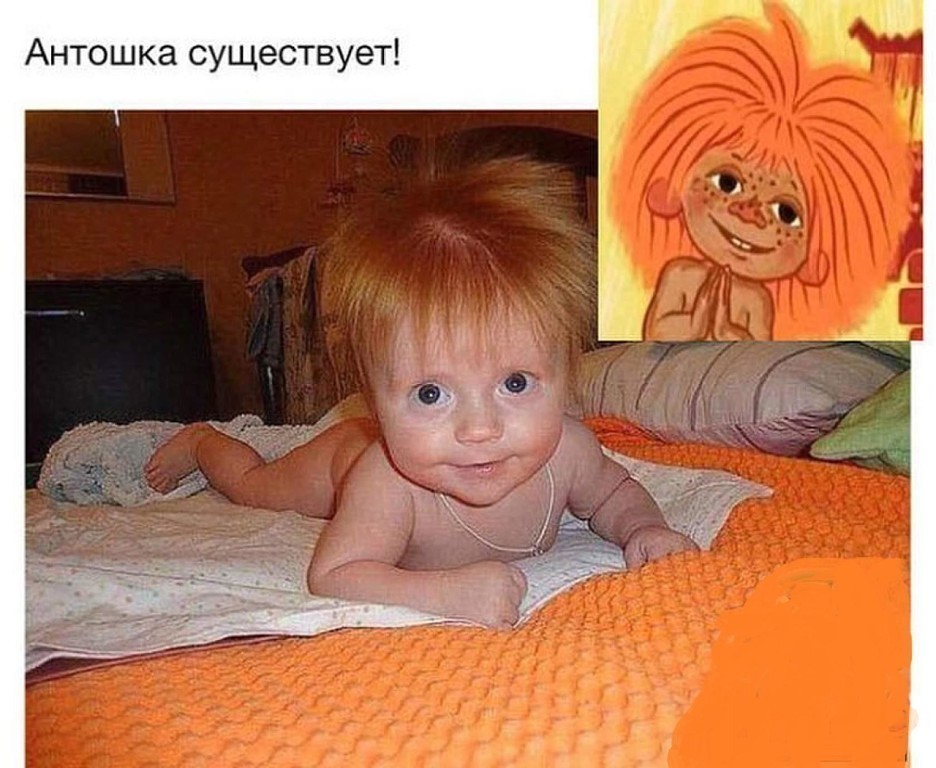 Н 6 у в Т с е Щ У с а к Ш 0 Т н А