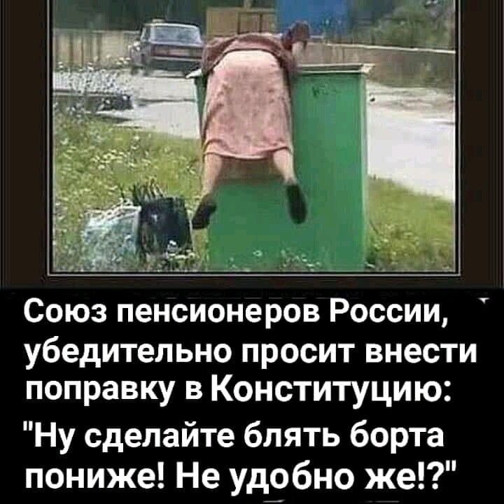 Союз пенсионеров России убедительно просит внести поправку в Конституцию Ну сделайте блять борта пониже Не удобно же