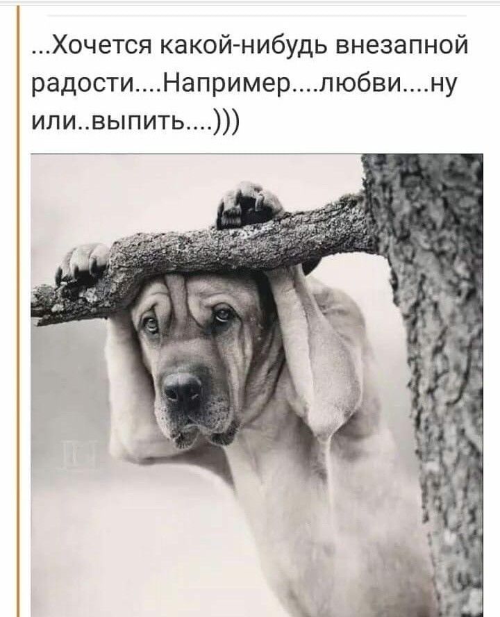 Хочется какой нибудь внезапной радостиНапримерлюбвину иливыпить