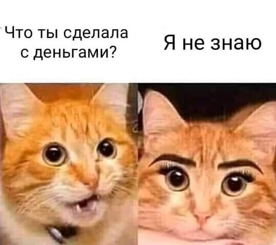 Что ты сделала с деньгами Ё БЭ Я не знаю Ф