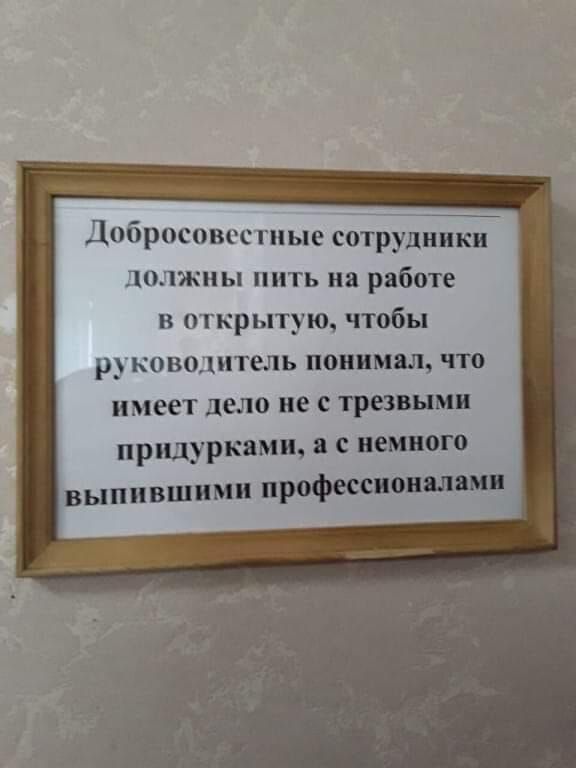 Дітбросовсс гпые сотрудйики 1жпы пить на работе в о гкрытущ чтобы кощштель понимал что имеет дело не с трезвыми пшдпжами с немного вы П ВШИ М и профессионалами