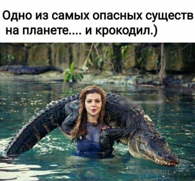 Одно из самых опасных существ на планете и крокодил
