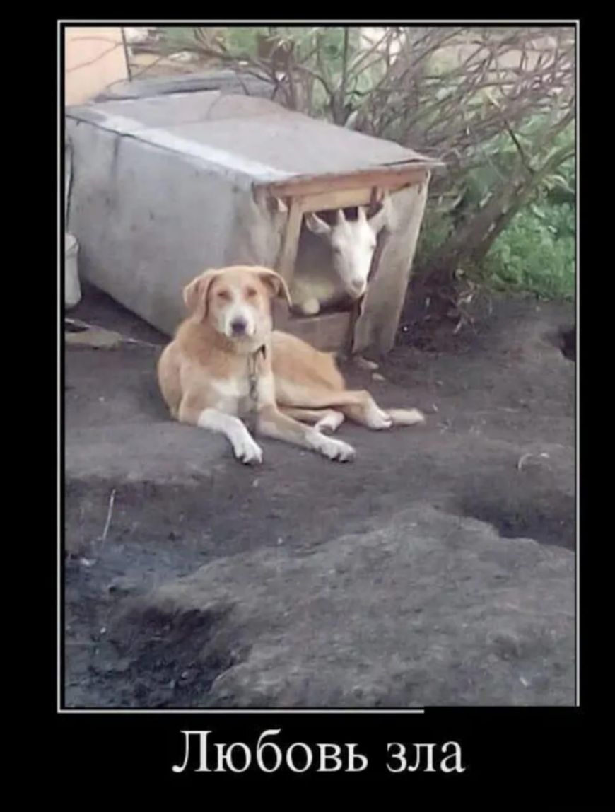 Любовь зла