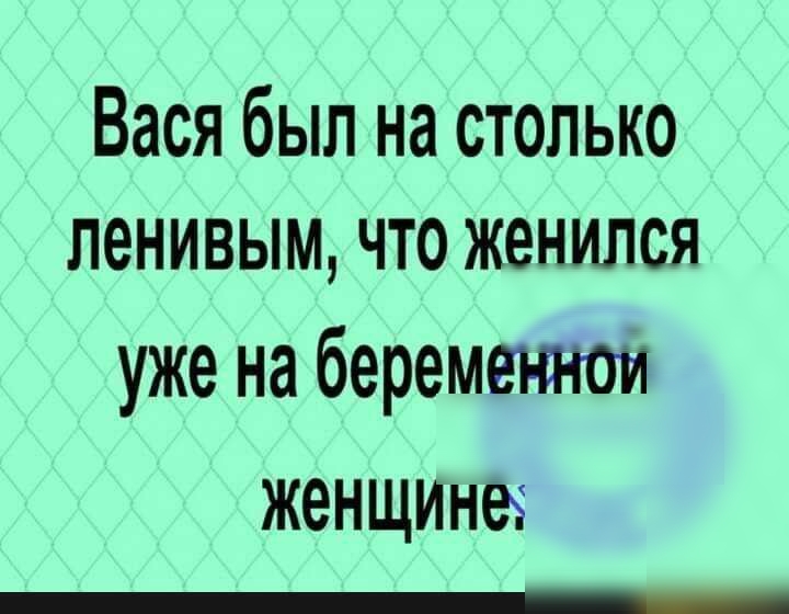 Вася был на столько ленивым что женился уже на беремеътои женщине
