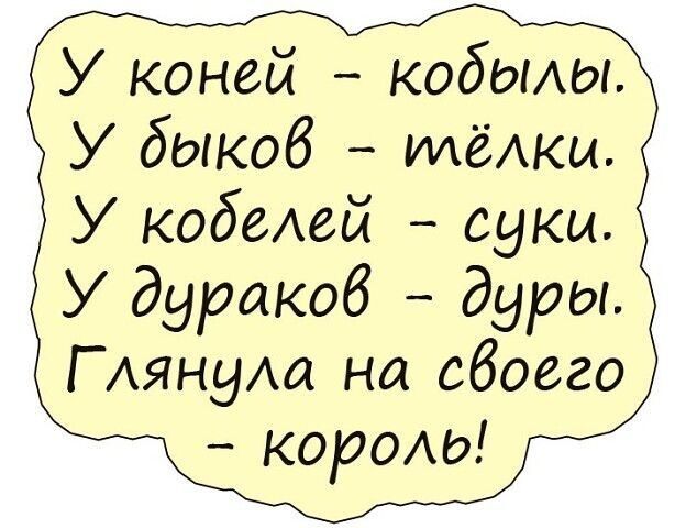 У коней кобоиы У быкоб ИдёАкы У кобеАей суки У дуракоб дуры Г АянуАа на обоего карою