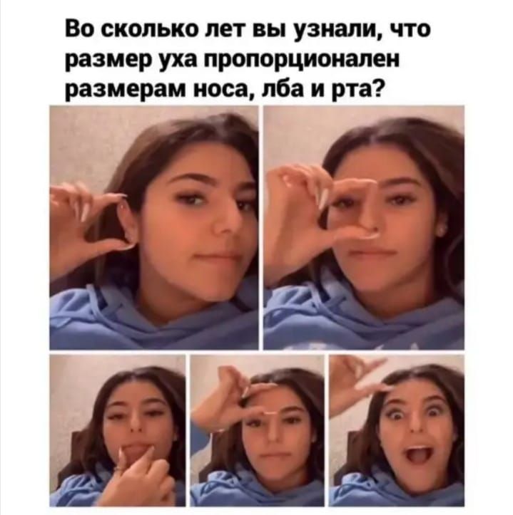 Во сколько лет вы узнали что размер уха пропорционален размерам носа лба и рта