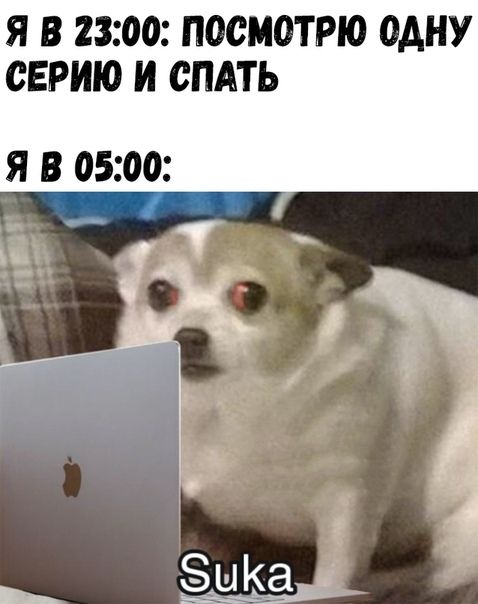 Я В 2300 ПОСМОТРЮ ОДНУ СЕРИЮ И СПАТЬ я в 0500