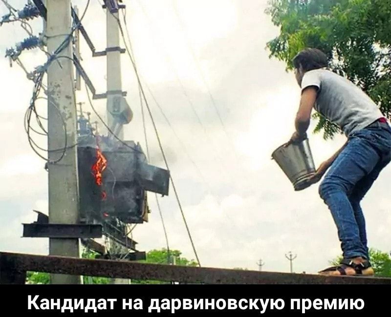 Кандидат на дарвиновскую премию