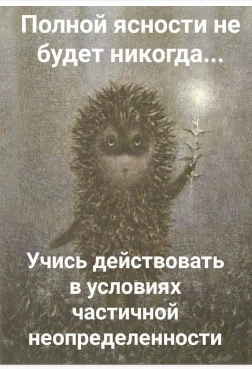 Учись действовать в условиях частичной неопределенности