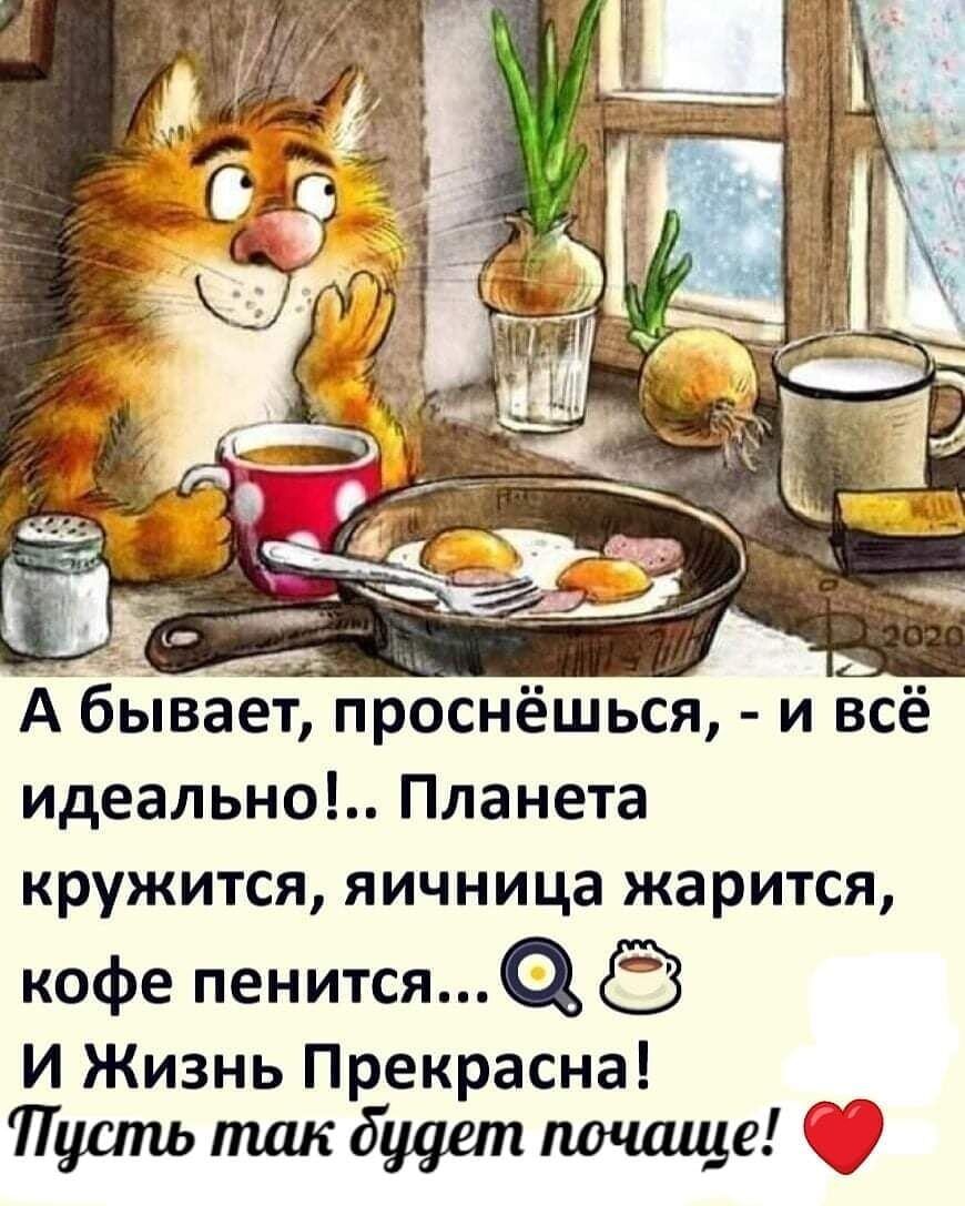А бьпват проснёшься и всё идеально Планета кружится яичница жарится кофе пенится и Жизнь Прекрасна Пусть так будет почаще