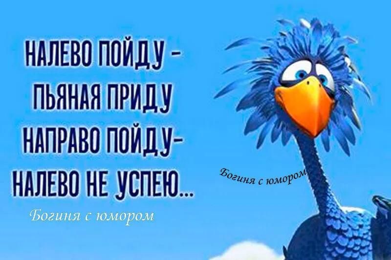 иш Богиня с юмором