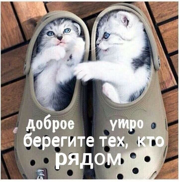 доброе берегите тех 71 о
