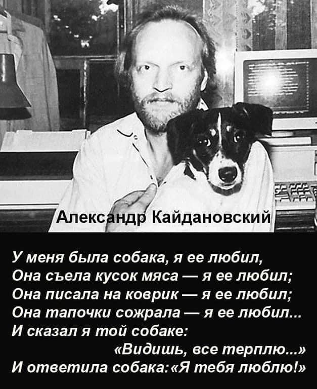 У меня была собака я ее любил Она съела кусок мяса я ее любил Она писала на коерик я ее любил Она тапочки сожрала я ее любил И сказал я той собаке Видишь все терплю И ответила собакаЯ тебя люблю