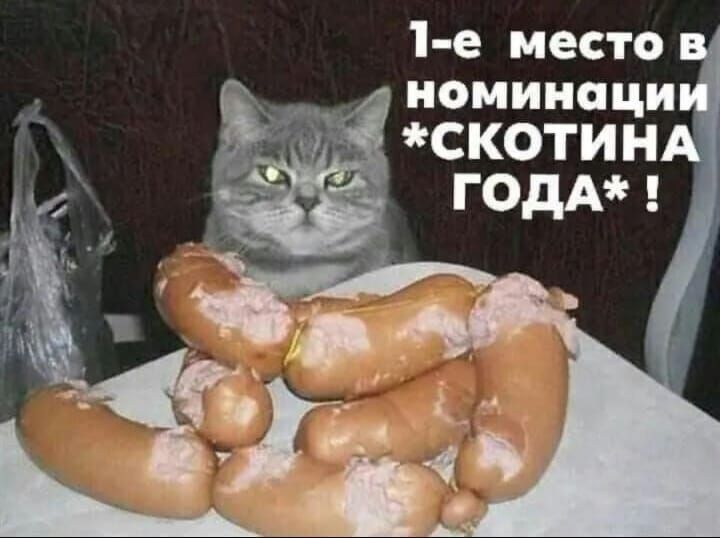 1 е место номинаци скотин