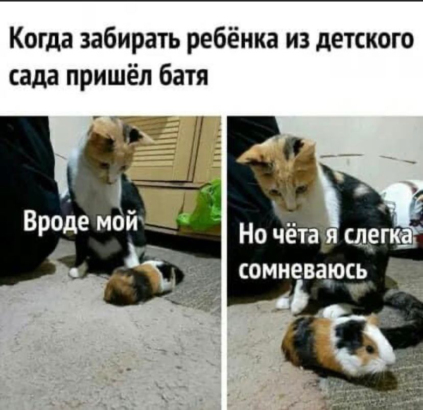 Когда забирать ребёнка из детского сада пришёл батя