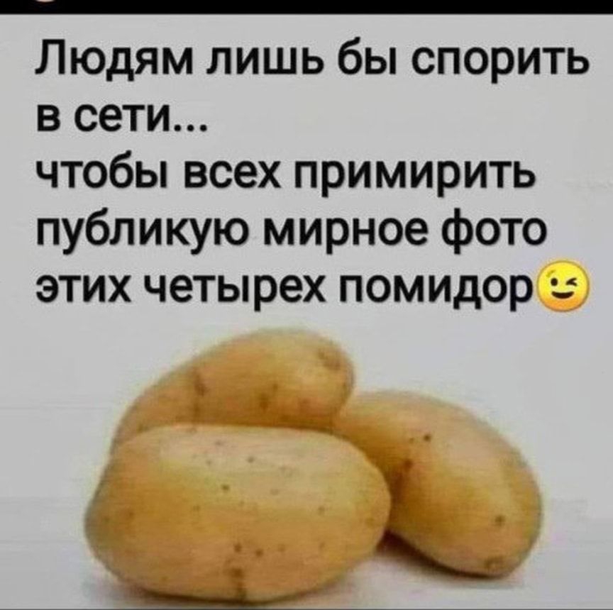 Людям лишь бы спорить в сети чтобы всех примирить публикую мирное фото этих четырех помидор _Т