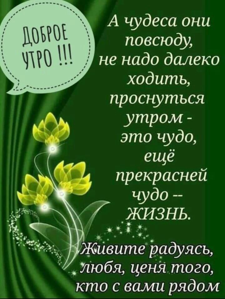 А чудеса они повсюду не надо далеко ходить проснуться утром это чудо ещё прекрасней чудо 7 ИЗНЬ любя ценя того кто с вами рядом