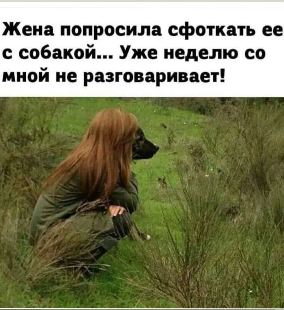 Жена попросила сфоткать ее с собакой Уже неделю со мной не разговаривает