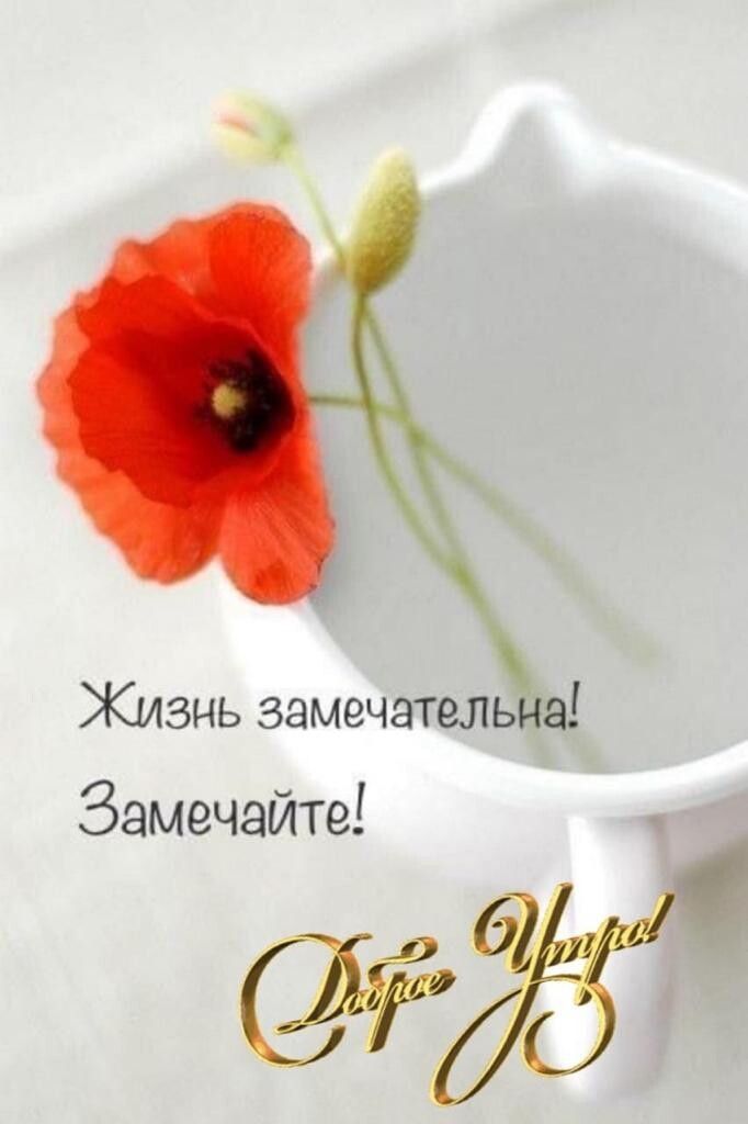 Жизнь замечательна Замечайте