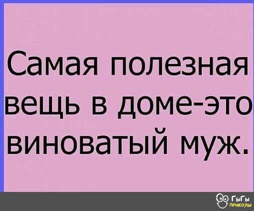 Самая полезная вещь в доме это виноватый муж