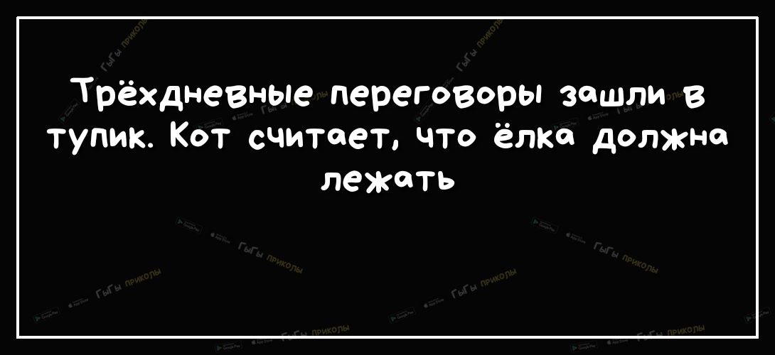 Трёхдневные переговоры зашли в тупик Кот считает что ёлкш должна лежать