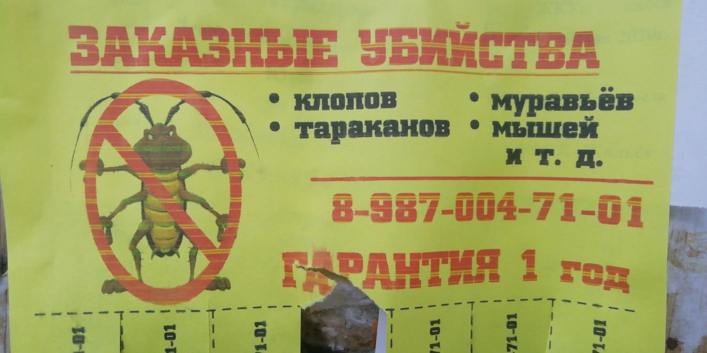 иппппв муравьёв тараканов мьпцви и т до