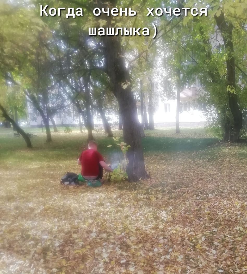 Когда очень х шашлЫка ж