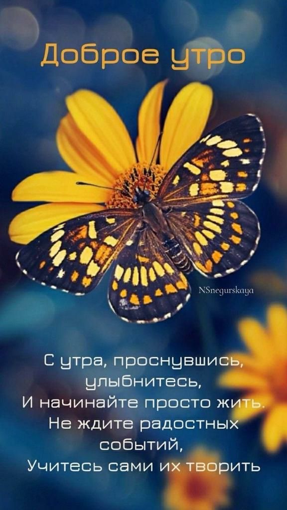 С утра проснувши улыбнитесь И начинайте просто ж Не ждите радостны событий Учитесь сами ить