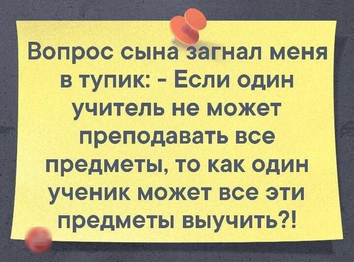 Вопрос сына загнал меня в тупик Если один учитель не может преподавать все предметы то как один ученик может все эти предметы выучить