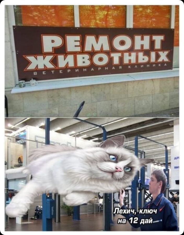 1Ё7ИЕ ддтнирин 12 дай