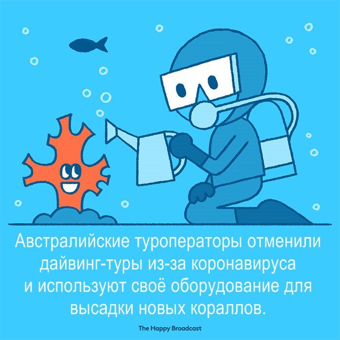 Австралийские туроператоры отменили дайвингтуры из за коронавируса и используют своё оборудование для высадки новых кораллов штатными