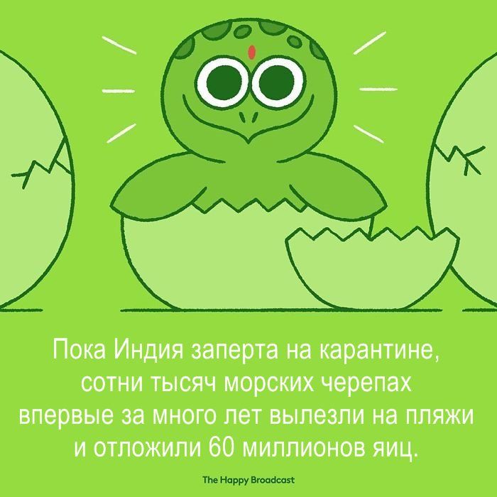 ти Науру Бюсси