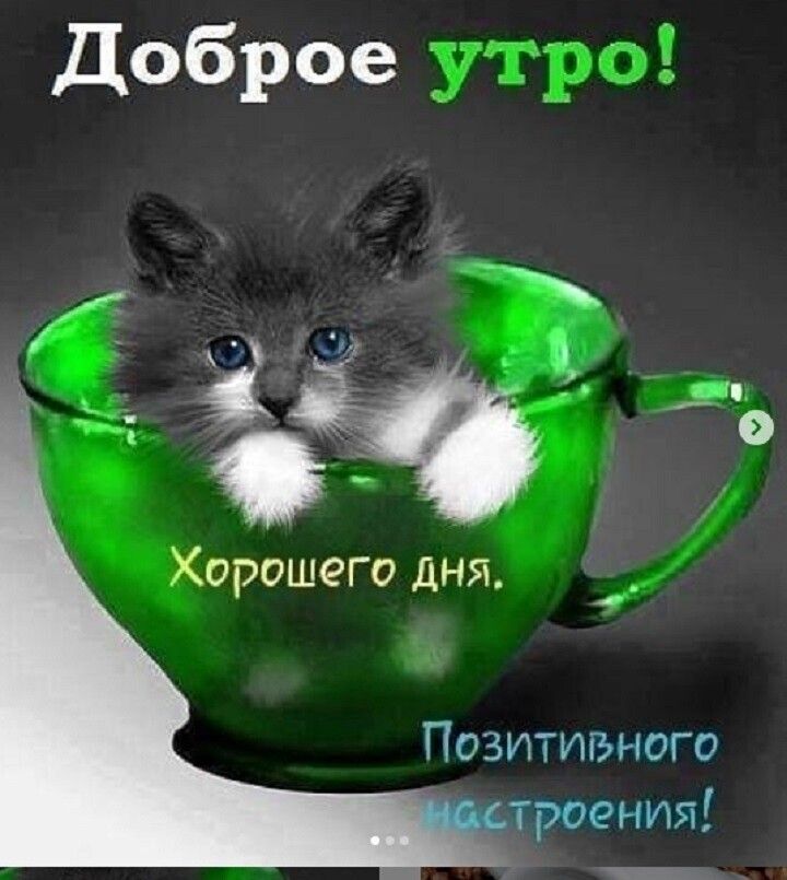 Хорашегоднж Позитивного троения