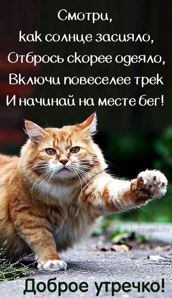 Смотри Как соднце засцядо Отбрось сКорее 09еЯю ВКАючы повесеАее трек И начинай на месте бег Оброе утрёчкЬ