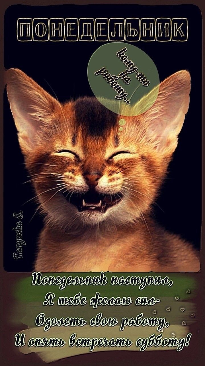 ЕШШШПЫПШП