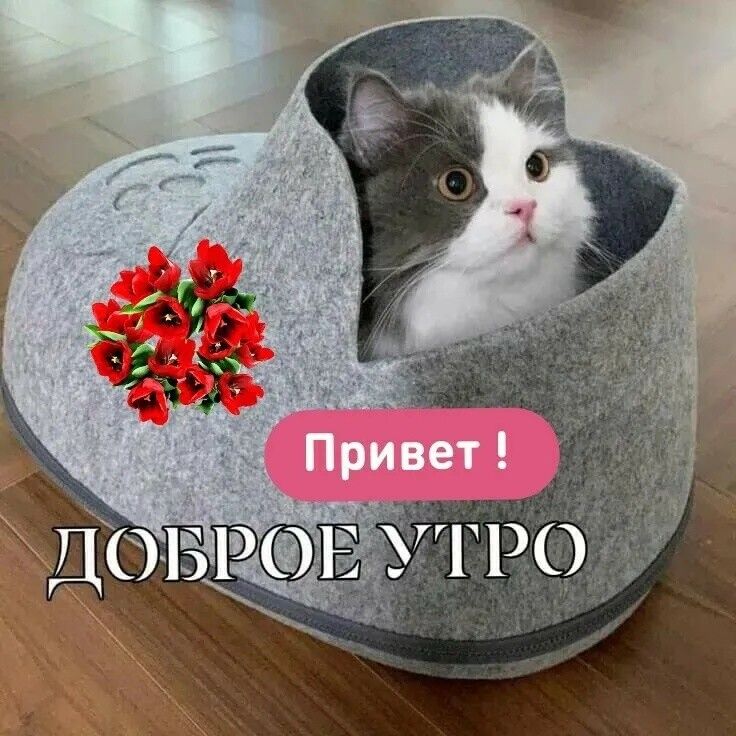гро