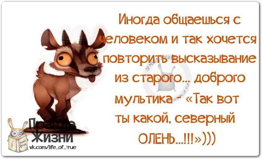 Иногда общаться с повеком и так хочется ювторшьвысказвате из счёта доброю мугьтиіаг Так вот ты какой северный опвъьш