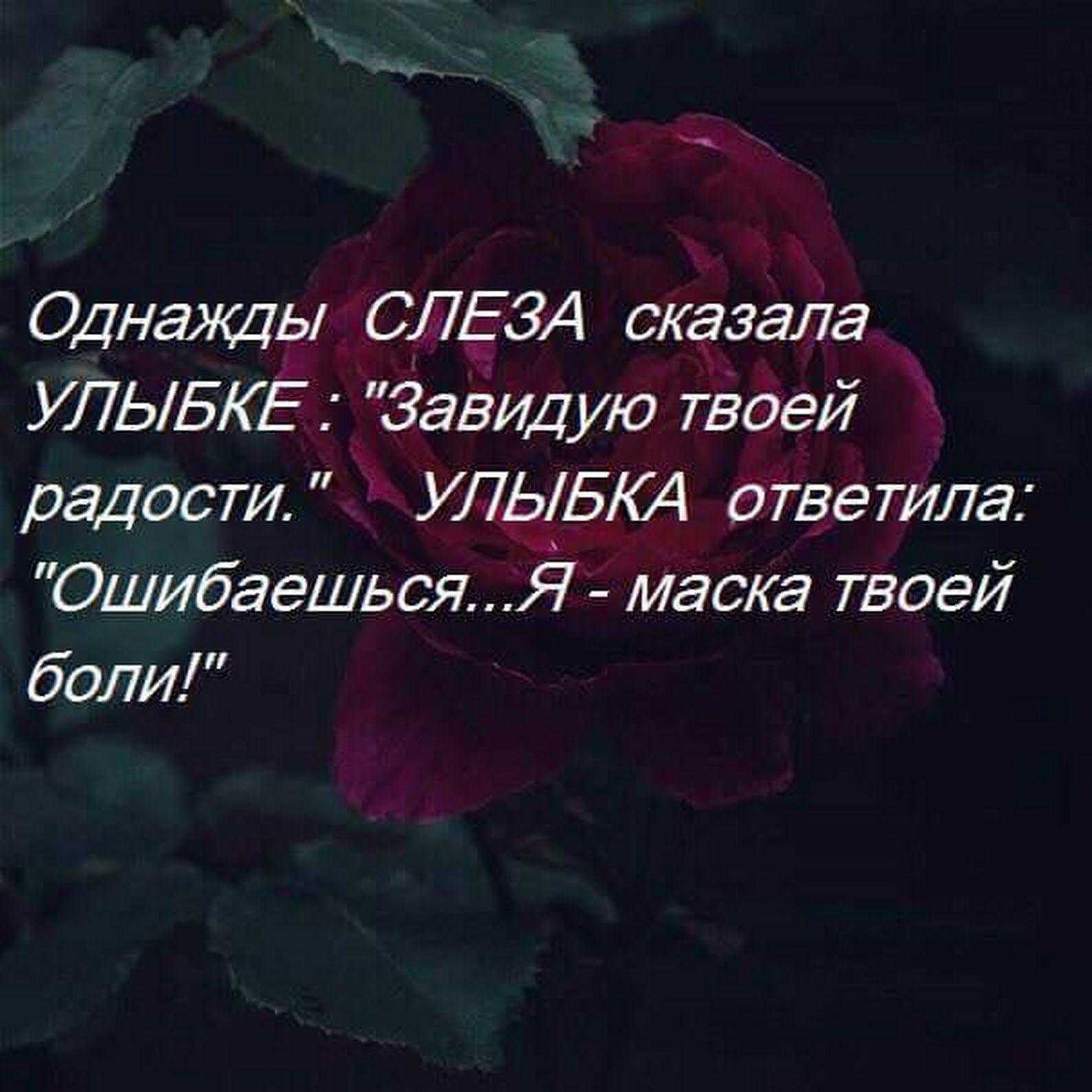 Однажды СЛЕЗА сказала УЛЫБКЕ Завидую твоей радости УЛЫБ64 ответила Ошибаешься7 маска твоей боли