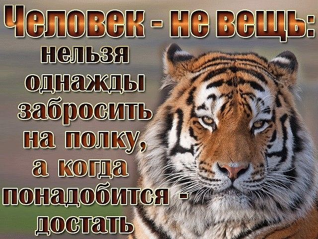 Человек не вещь нельзя однажды забросить на полку