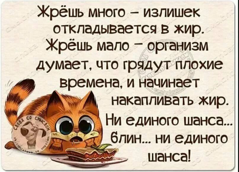 Жрёшь много излишек откладывается в жир Жрёшь мало организм думает что грядут плохие времена и начинает А накапливать хир Ни единого шанса блин ни единого шанса
