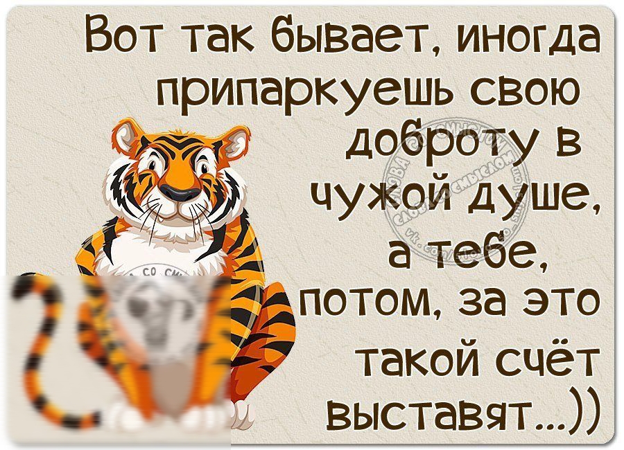 Вот так бывает иногда припаркуешь свою доброту в чужой душе а тебе потом за это такой счёт выставят
