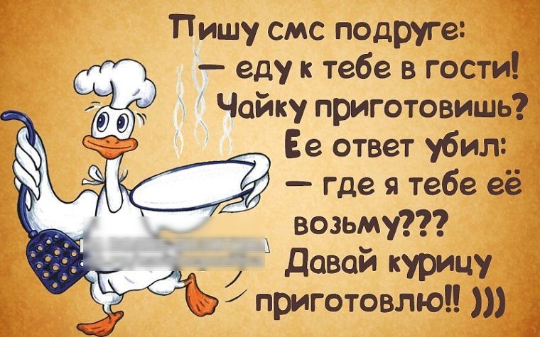 Пишу смс подруге еду к тебе в гости Чайку приготовишь Давай курицу приготовлюп