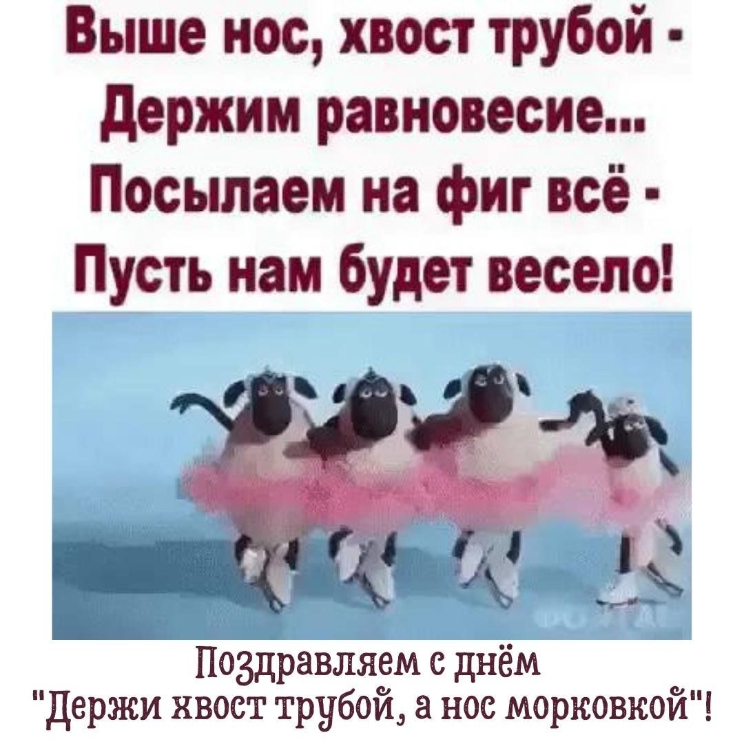 Выше нос хвост трубой держим равновесие Посыпаем на фиг всё Пусть нам будет весело ь Ёйравляем с днём Держи хвост трубой ное морковкой