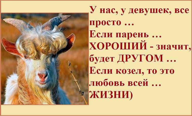 У нас у девушек все приста Если парень хороший значит И будет другом Если козел то это любовь всей ЖИЗНИ