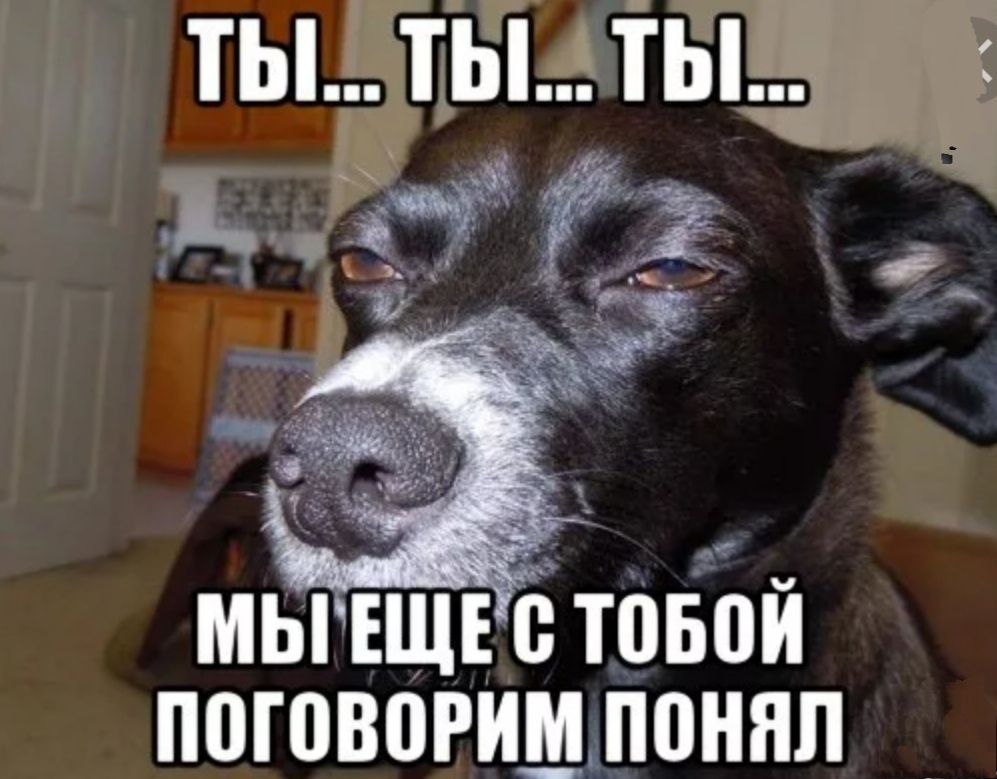 мытщъстпвіъй поговогшпоннп