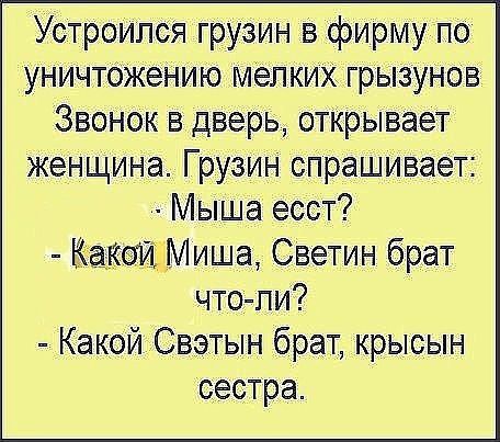 Устроился грузин в фирму по уничтожению мелких грызунов Звонок в дверь открывает женщина Грузин спрашивает Мыша есст КаКсЛЙБМиша Светин брат что пи Какой Свэтын брат крысын сестра