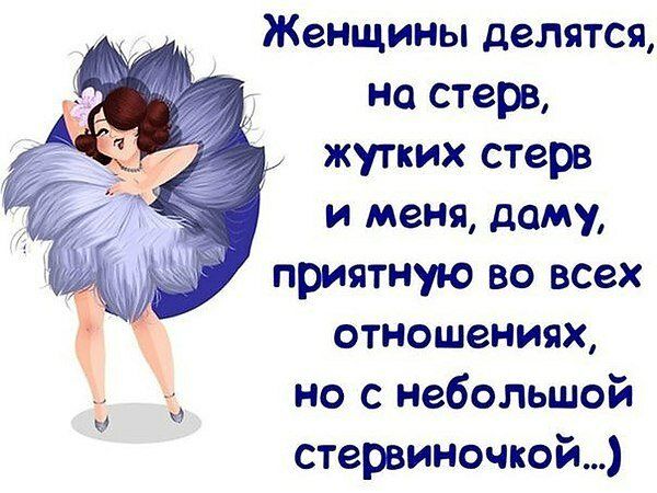 Женщинъп делятся на стара жутких стере и меня даму приятную во всех отношениях но с небопьшой стервиночкой Ъ