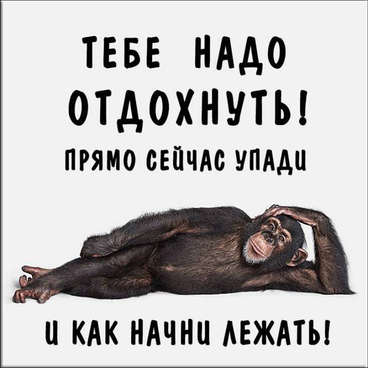 ТЕБЕ НАДО ОТДОХНУТЬ ПРЯМО СЕЙЧАС УПААО И КАК НАЧНИ АЕЖАТЫ
