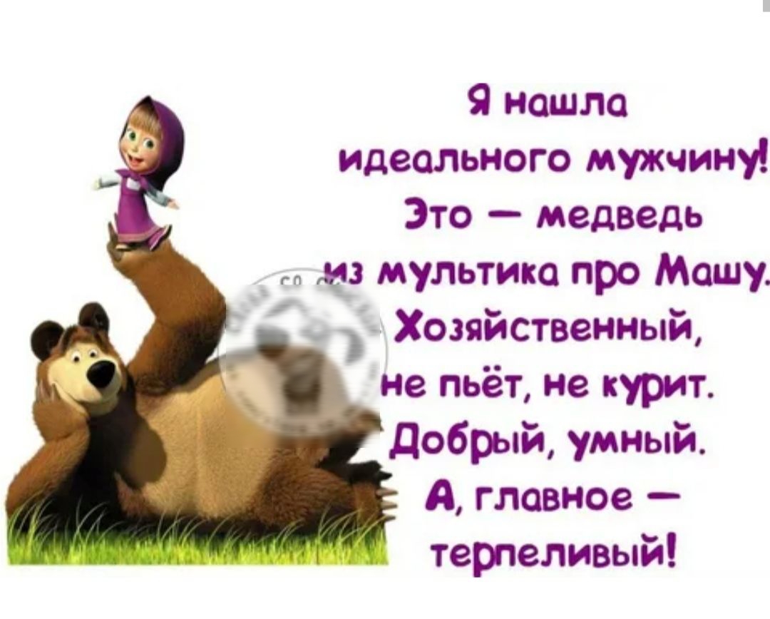 Я нашла идеального мутным Это медведь дд мультика про Машу Хопистнеииый ие пьёт ив кури добрый умный А главное терпеливый